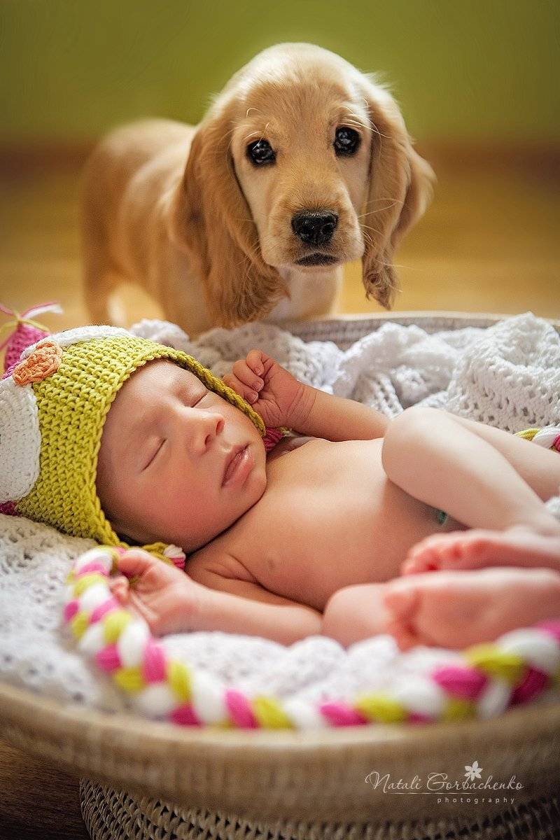 , Наталия Горбаченко