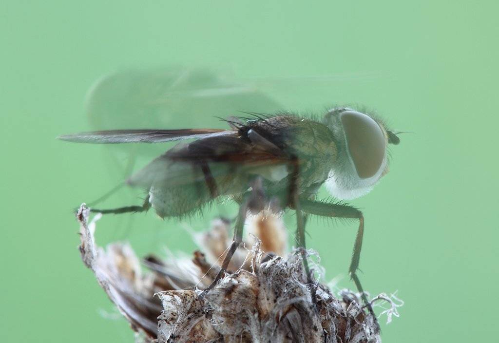 , Сергей Таланов