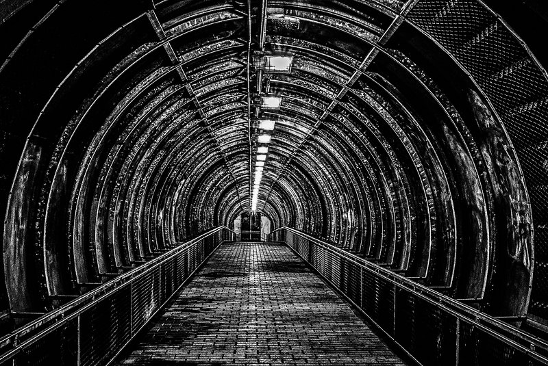 Black door фото превью