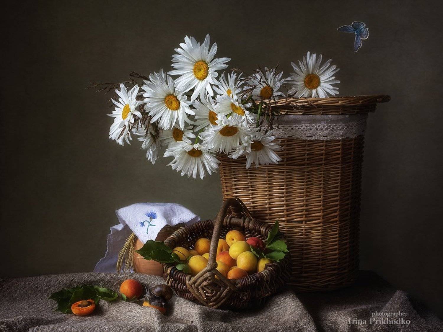 натюрморт, лето, цветы, фрукты, винтажный, ретро, деревенский стиль, ромашки, абрикосы, Ирина Приходько