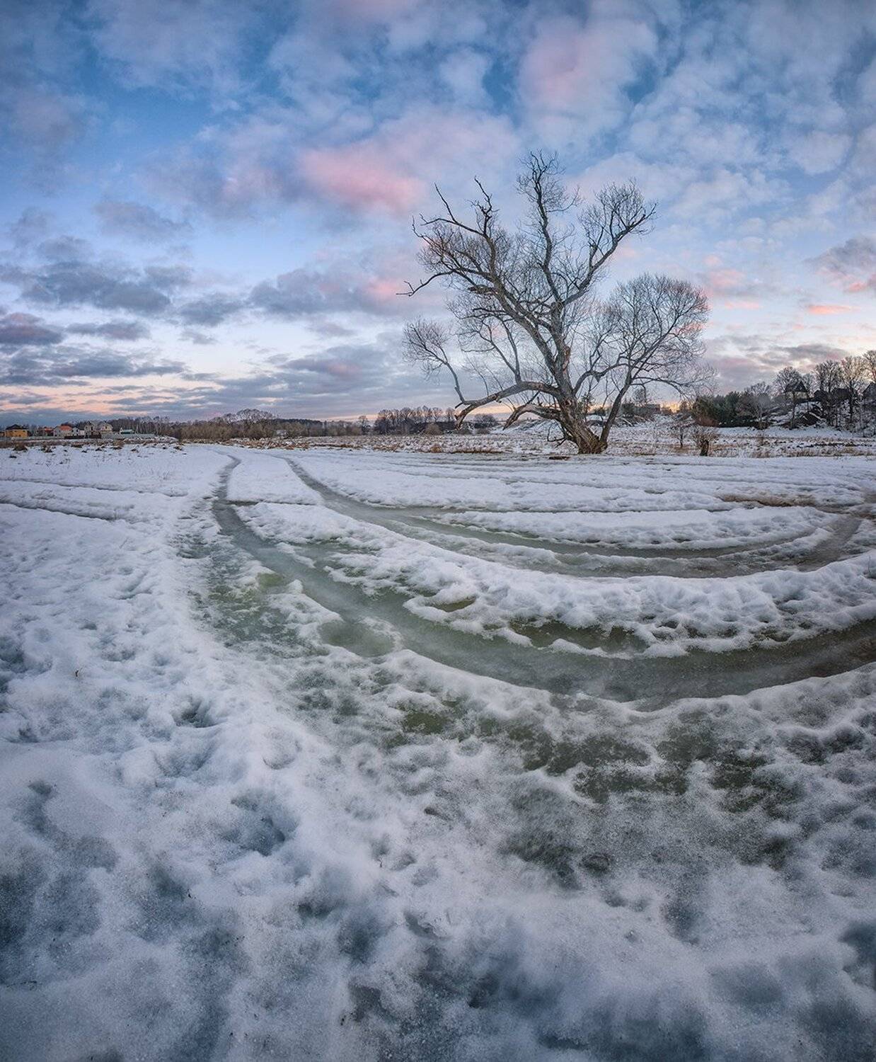 , Николай Андреев