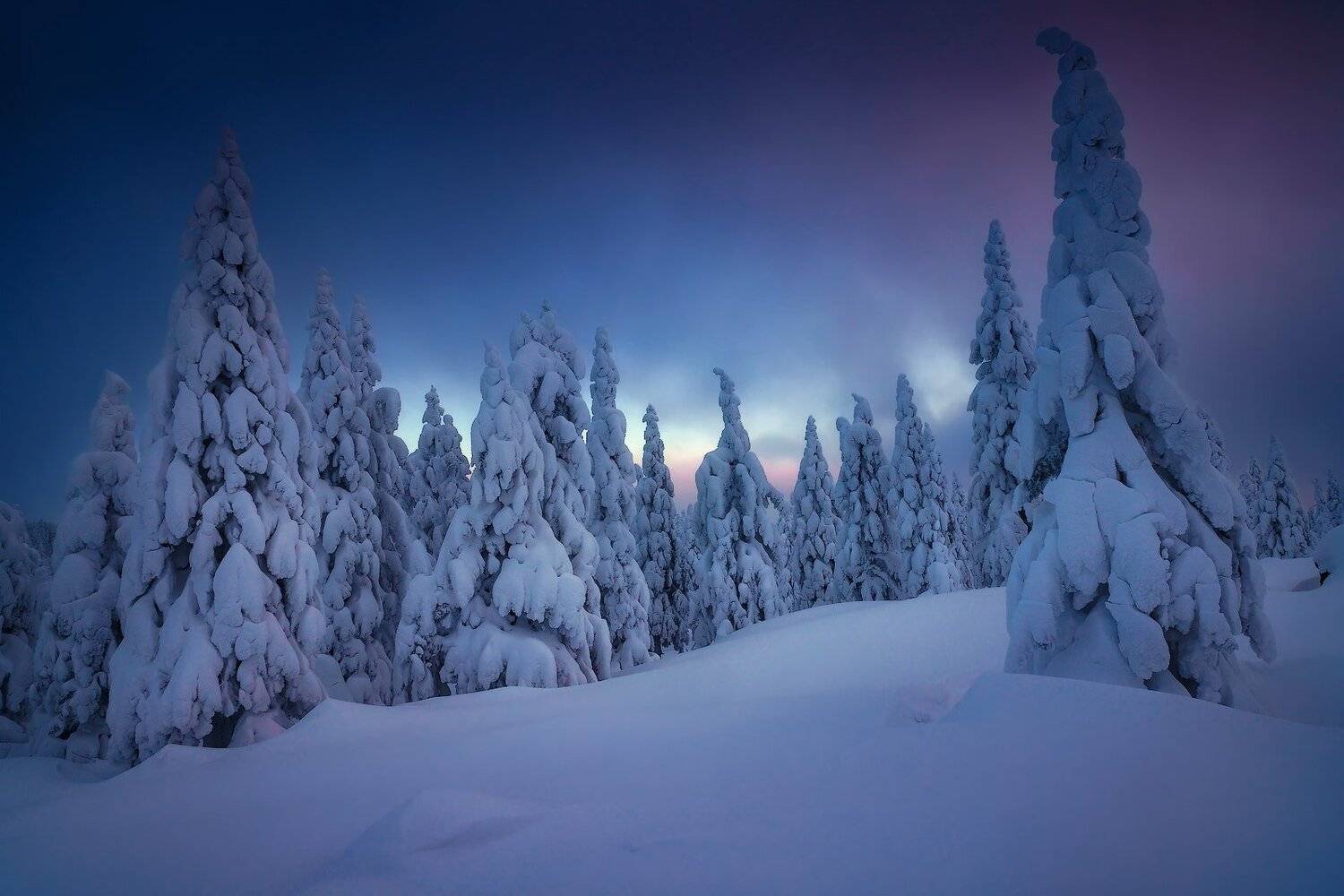 , Владимир Ляпин