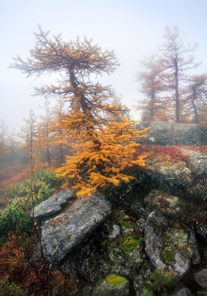 урал, осень, серебрянский камень, Сергей Макурин