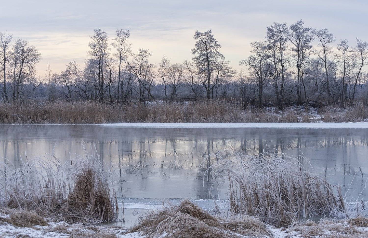 , Дмитрий Новоселов