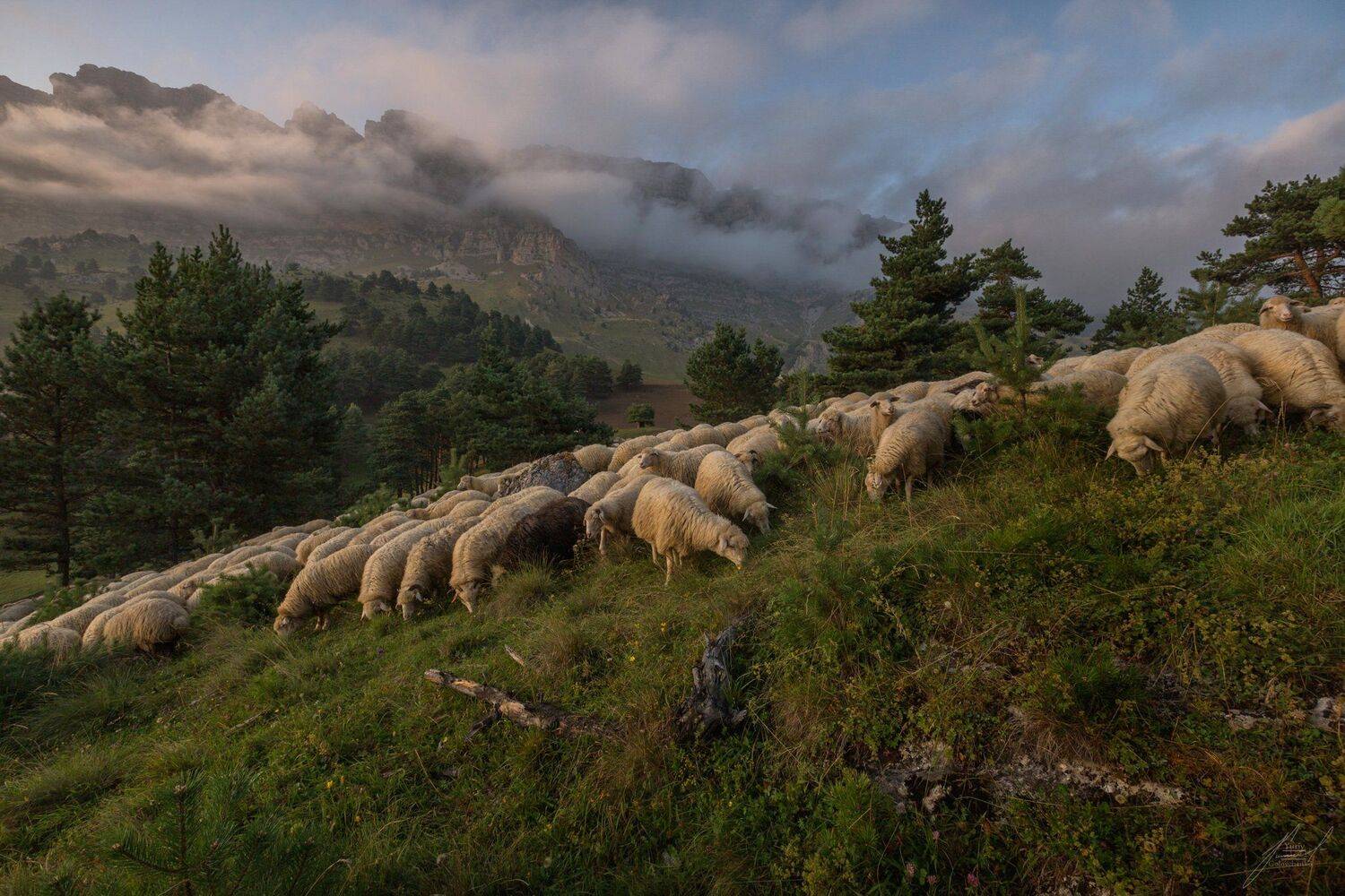 , Юрий Головченко