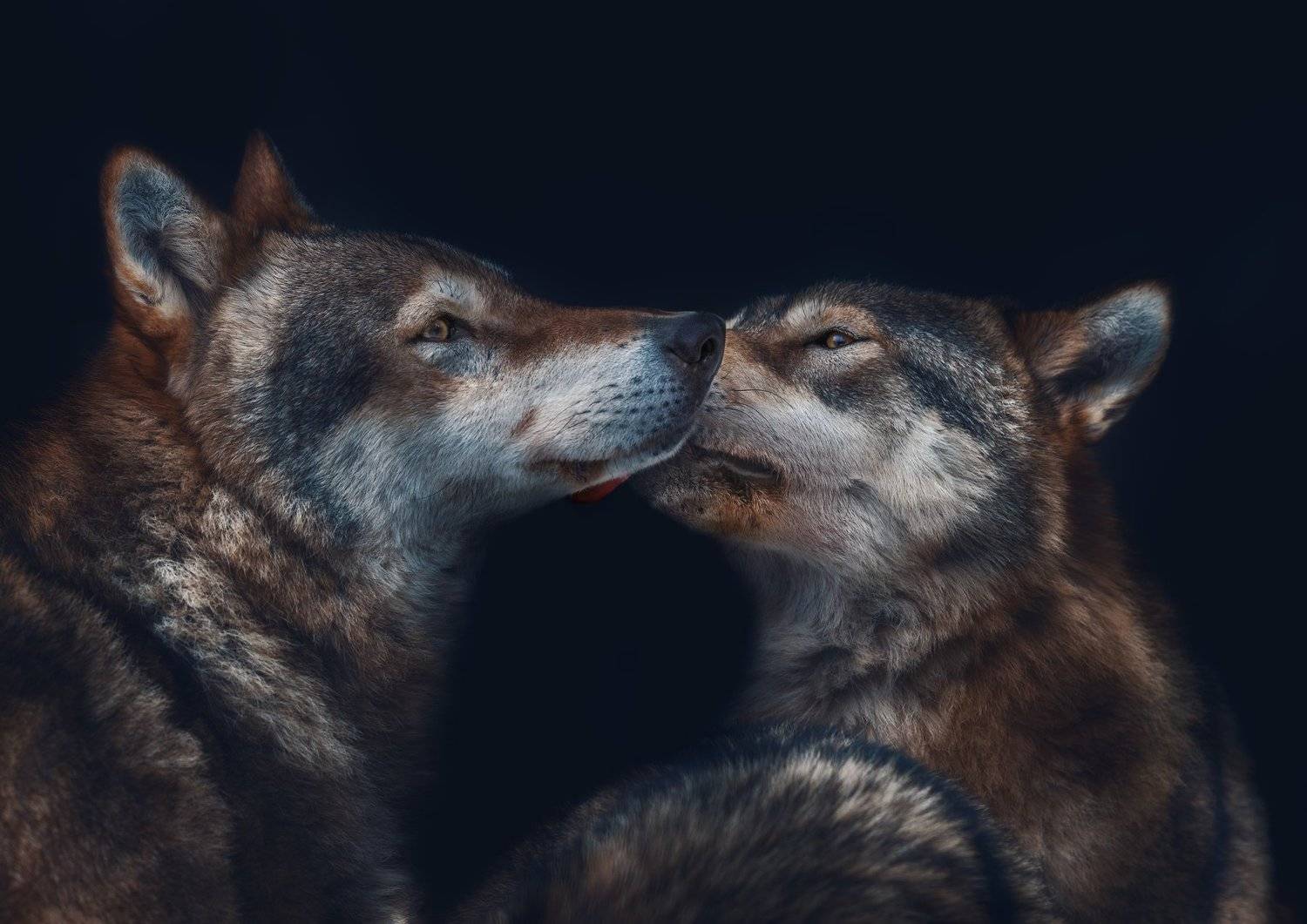 , Олег Богданов