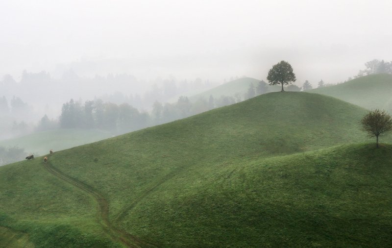 швейцария, альпы, туман Туманное утро фото превью