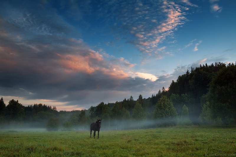 Утренняя звезда фото превью