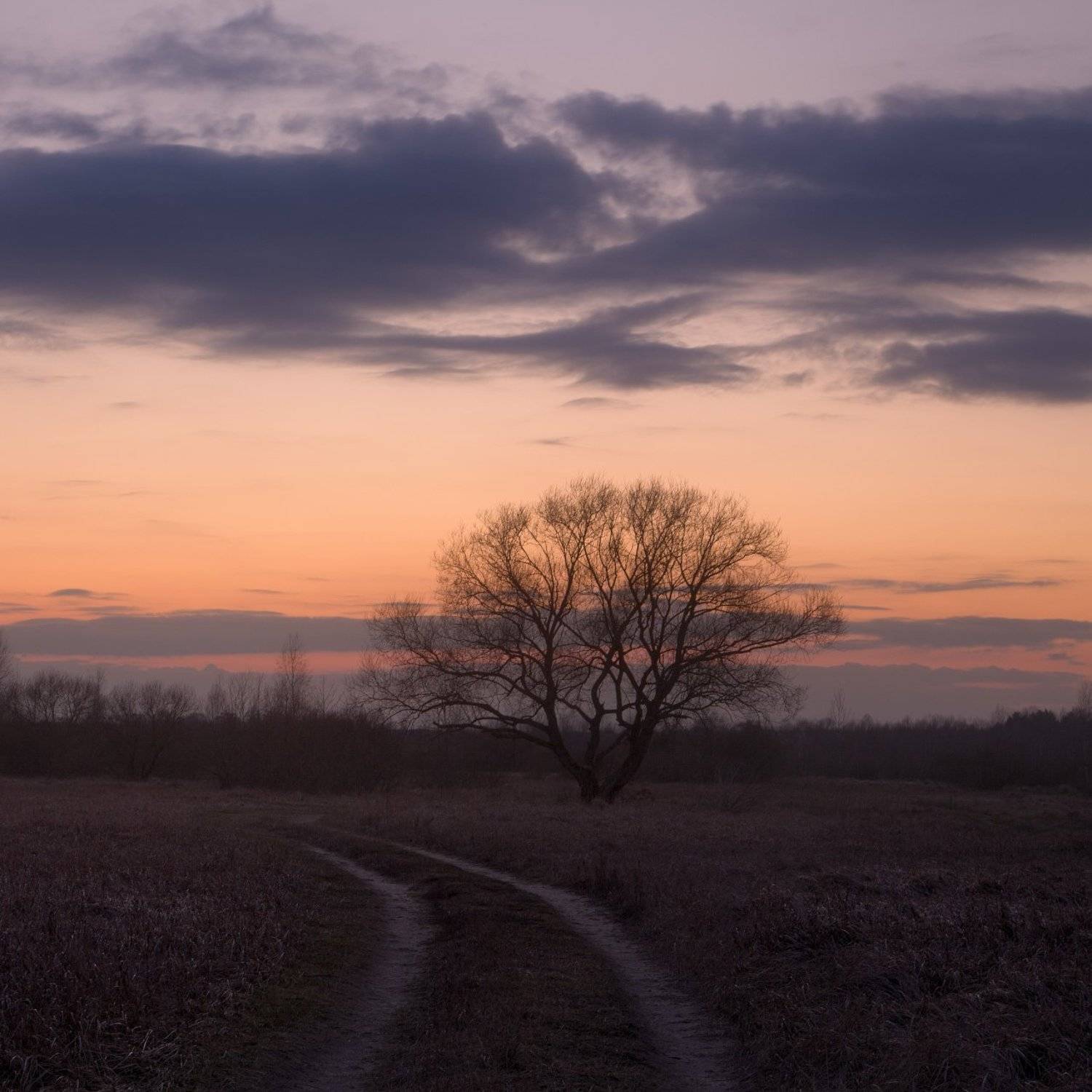 , Михаил Кушнер