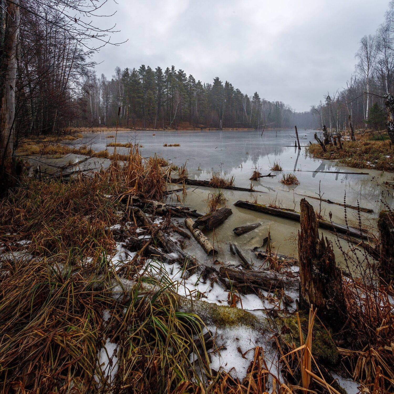 пейзаж, Сергей Сергеев
