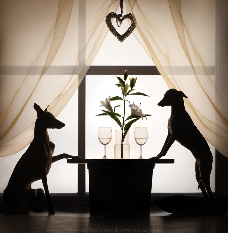 ужин фото превью