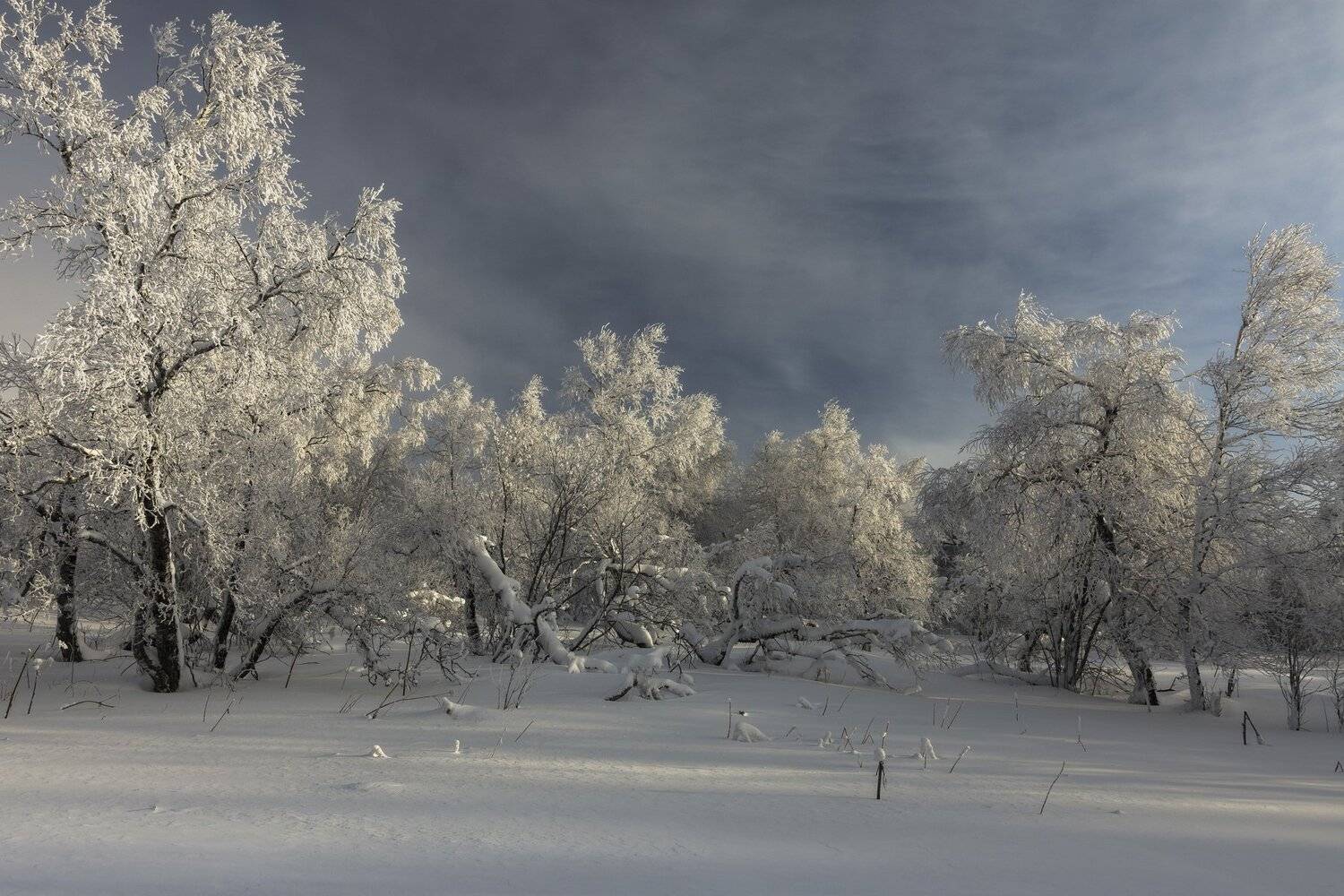 , Андрей Шарапов