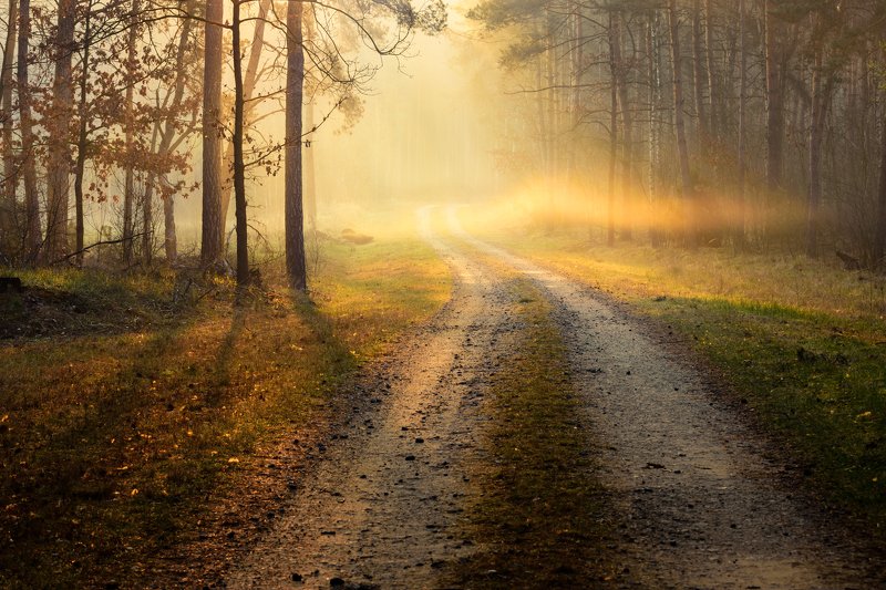 Way to the unknown фото превью