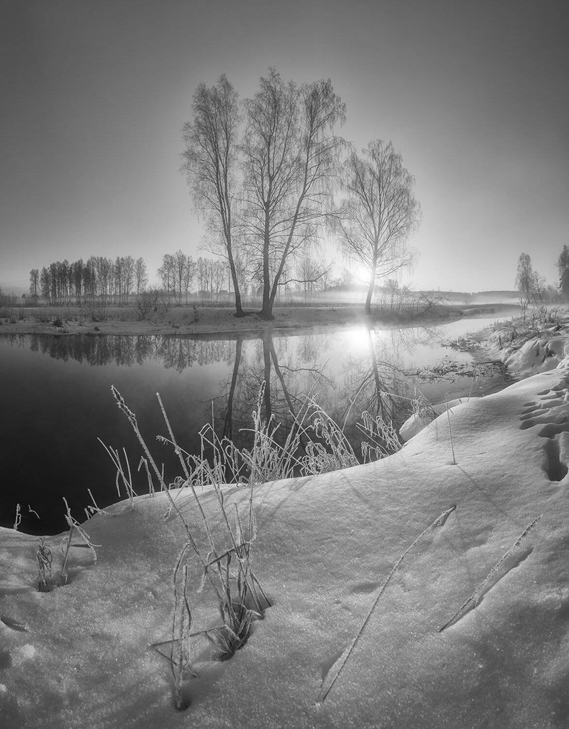 , Николай Андреев