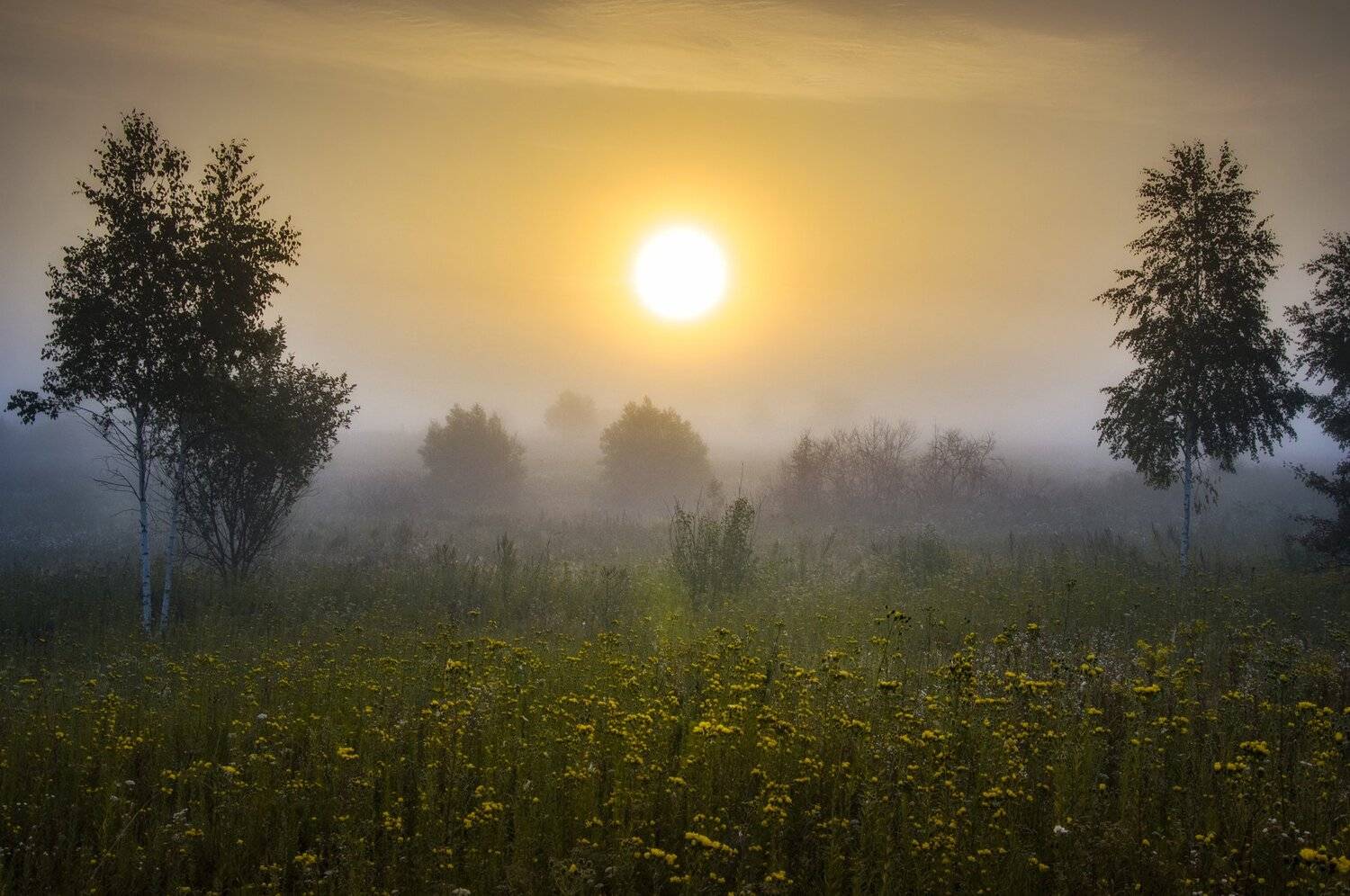 Пейзаж, природа, россия, туман, поле, рассвет , Павел Ныриков