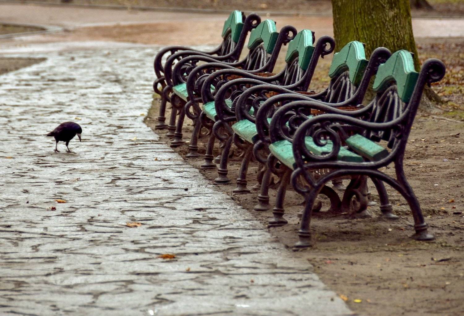\"benches\", Alexander Zvir