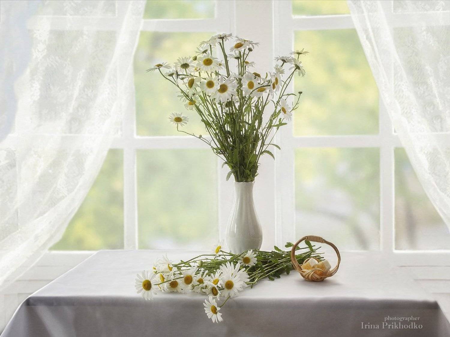 натюрморт, лето, букеты, цветы, ромашки, интерьер, окно, ретро, Ирина Приходько