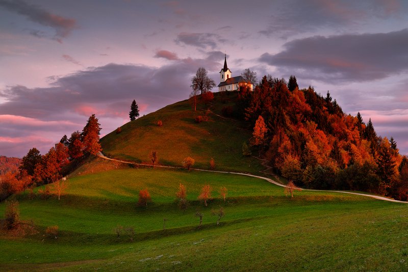 slovenia, morning, hill, church, sunrise, autumn, tree, road, Church hill фото превью