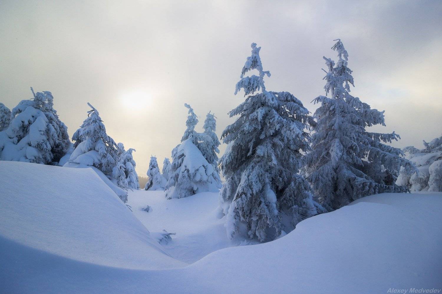 зима, карпати,  пішконя, зима, сумерки, хребты, карпаты, Алексей Медведев
