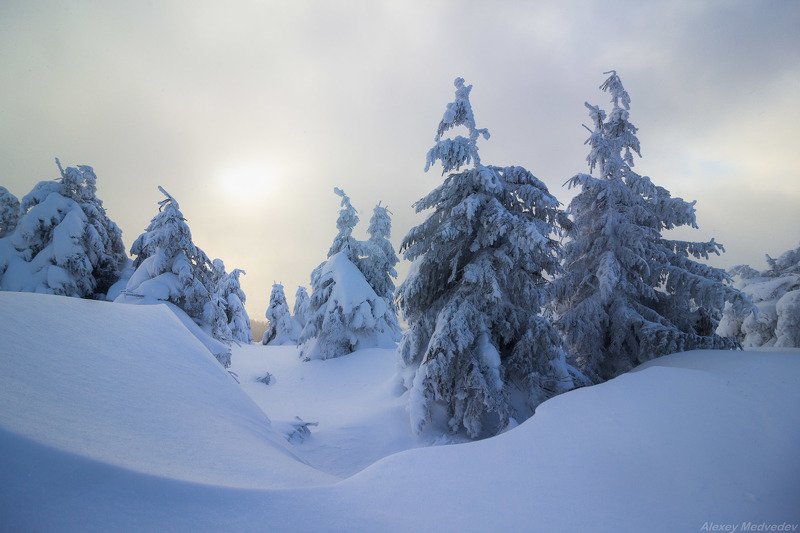 зима, карпати,  пішконя, зима, сумерки, хребты, карпаты *** фото превью