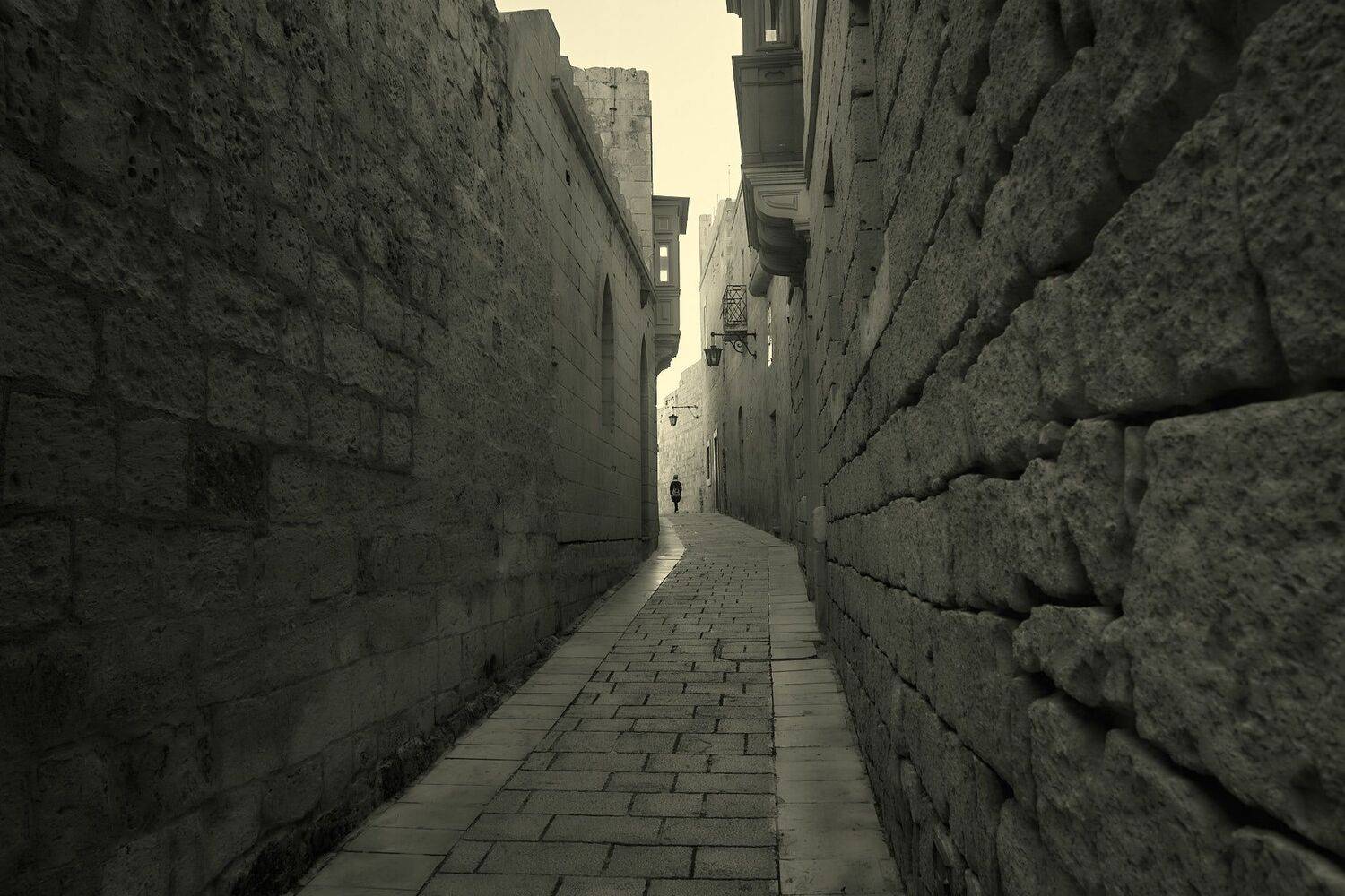 , David Solodar