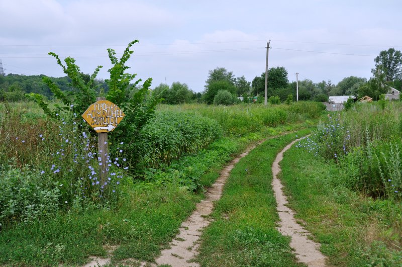 Деревенские зарисовки фото превью