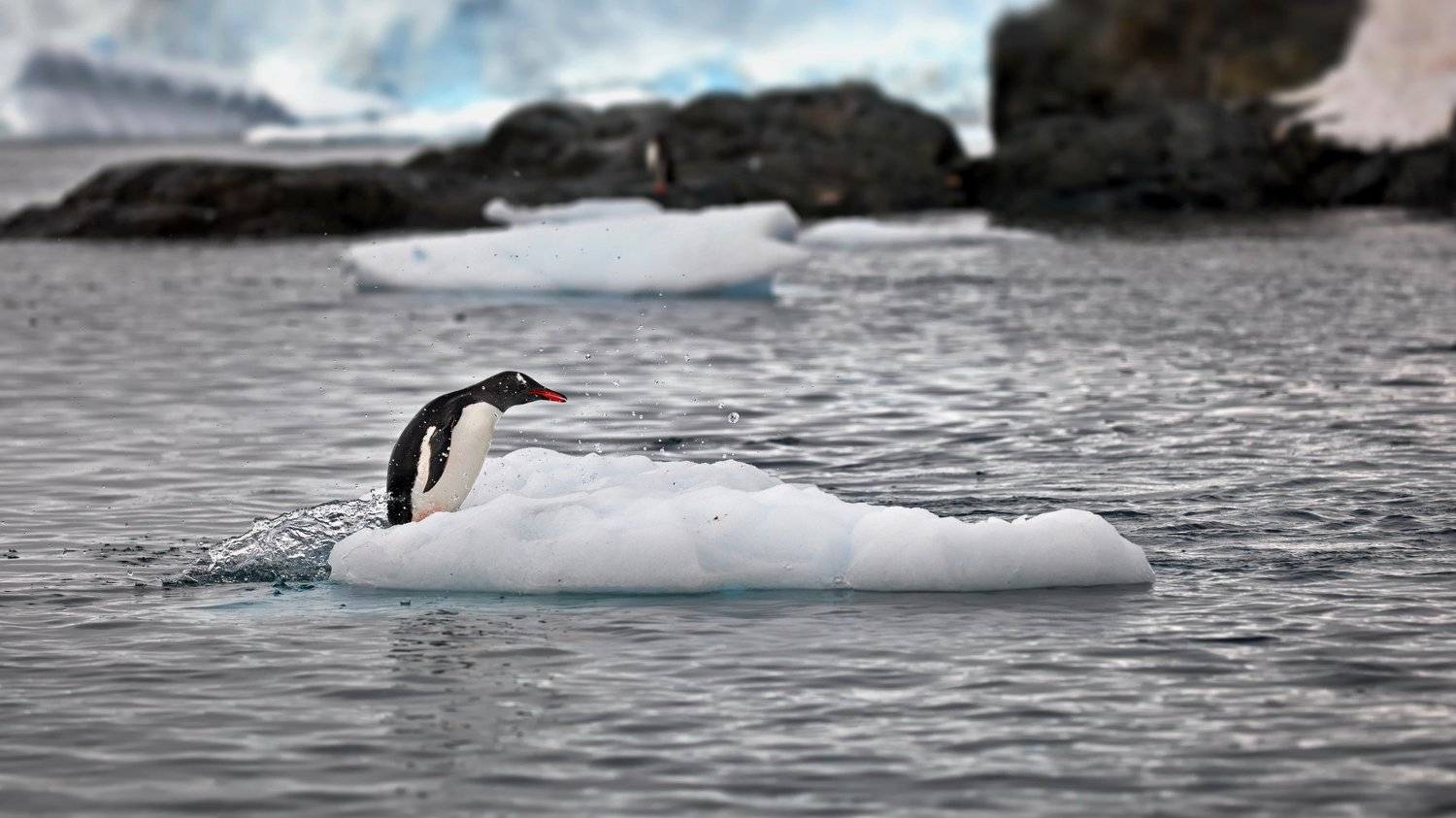 , Александр Перов