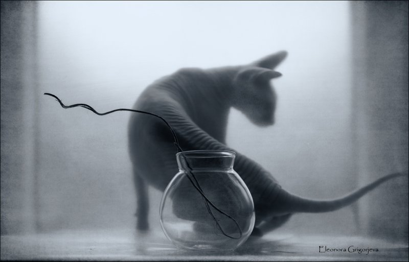 Про изгибы фото превью