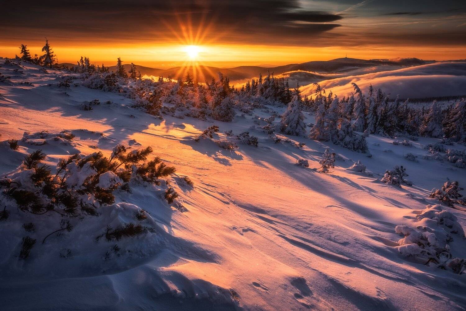 , Pawel Uchorczak
