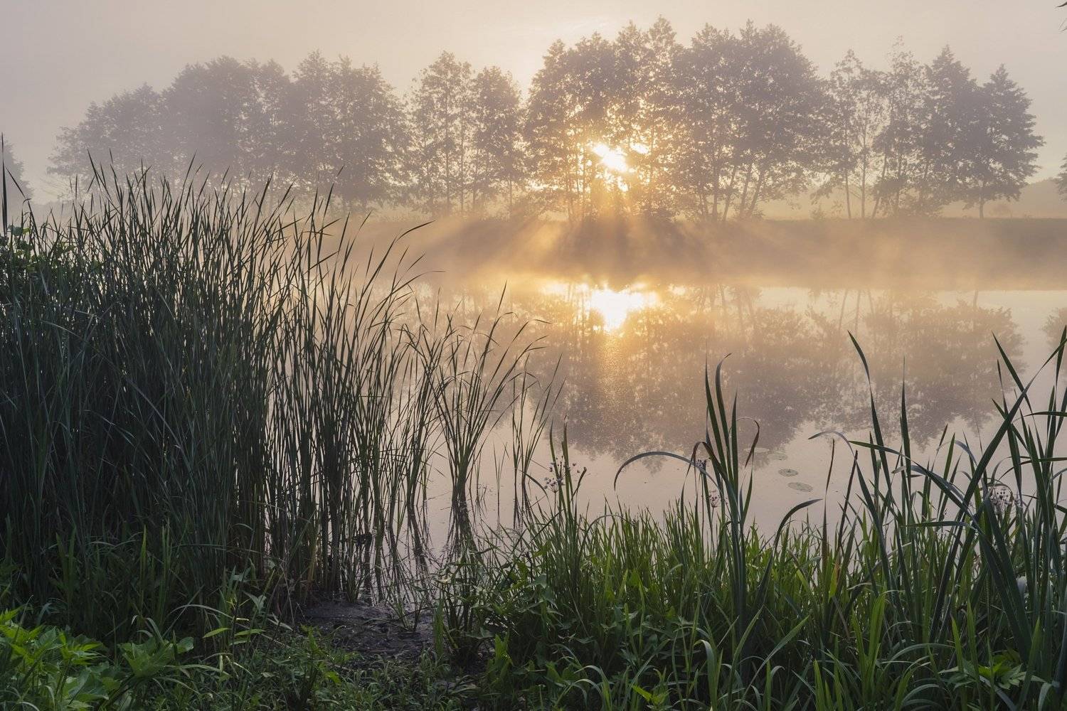 весна,паводок,утро,рассвет,пейзаж,природа,дерево,украина,гадяч,сергей корнев,красота,фотограф,пейзажная фотография,колорит,искусство,композиция, Сергей Корнев