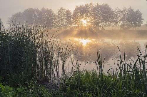 Пламя разгорается