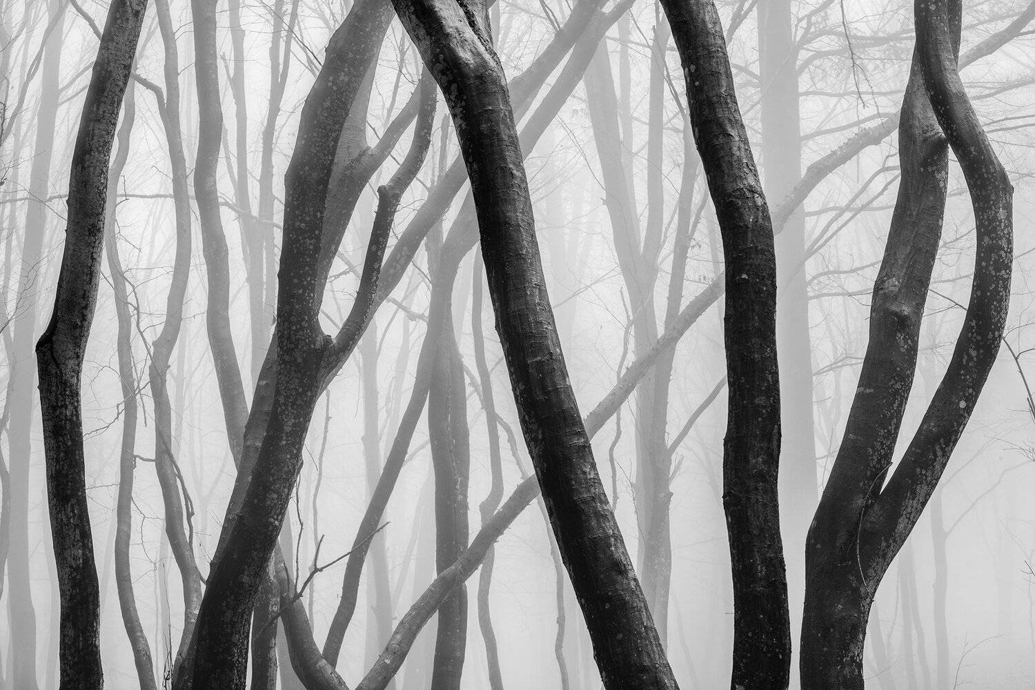 , Szabo Zsolt Andras