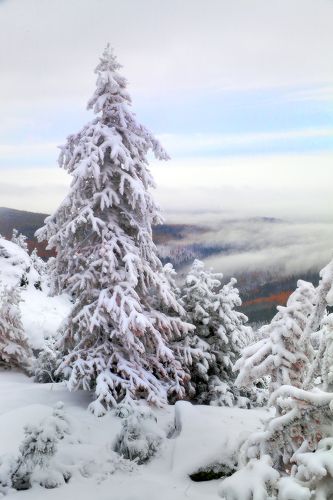 Нашествие зимы