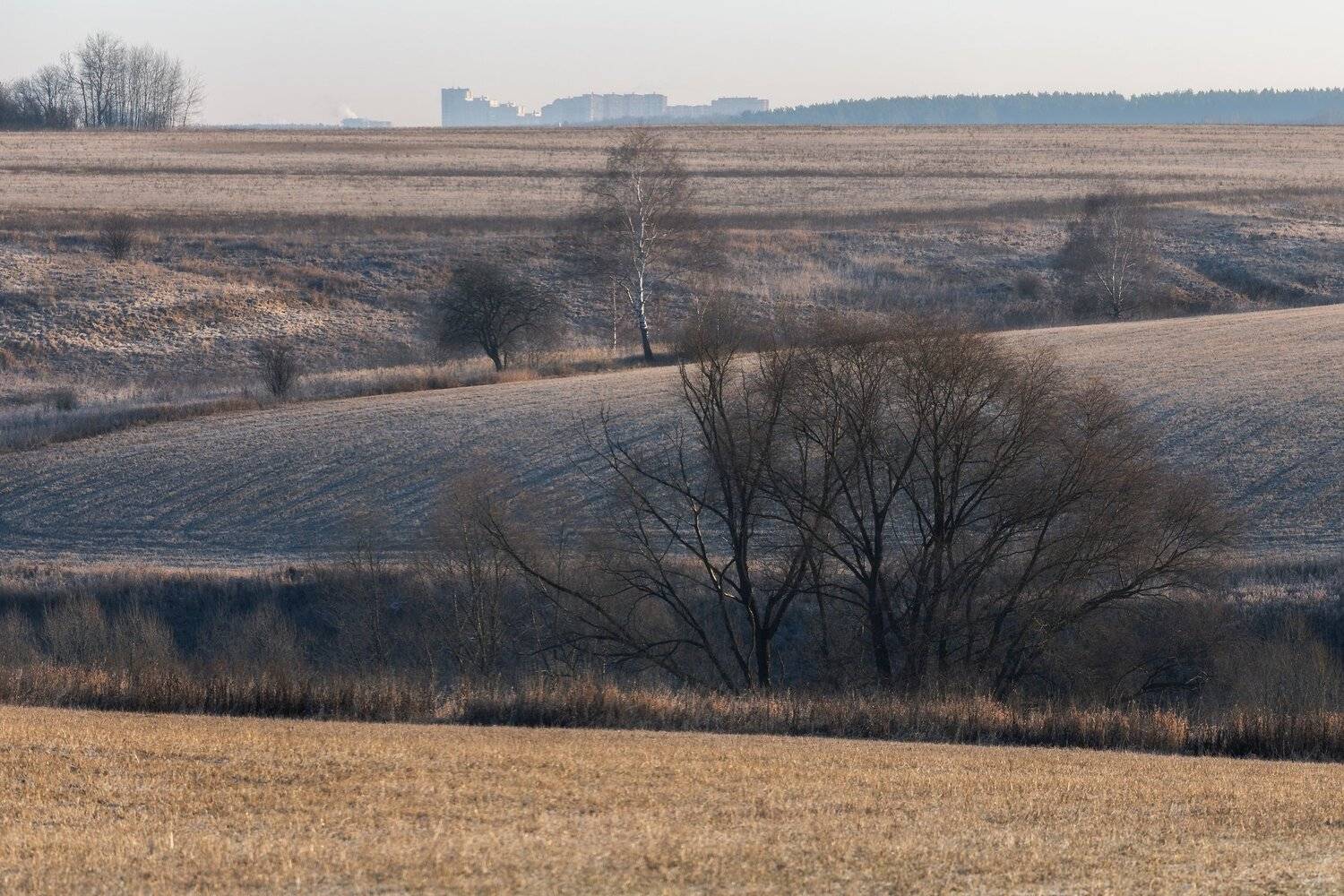 природа, пейзаж, landscape, простор, зима, солнце, тепло, Мартыненко Дмитрий
