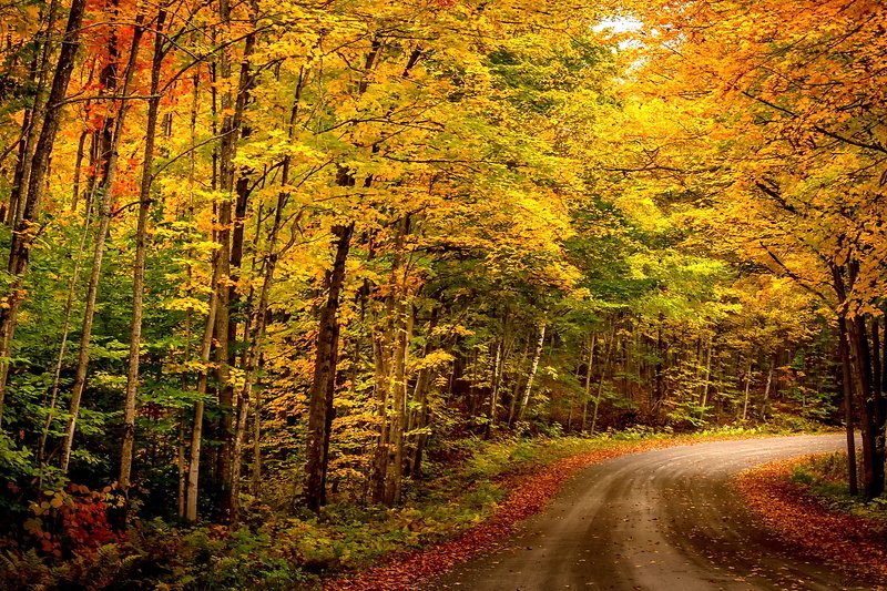 Осенний поворот... фото превью