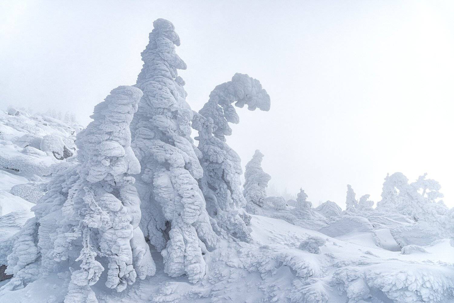 пейзаж, снег, зима, мороз, горы, елки, дерево в снегу, вершина, урал, россия, Даниил Силантьев