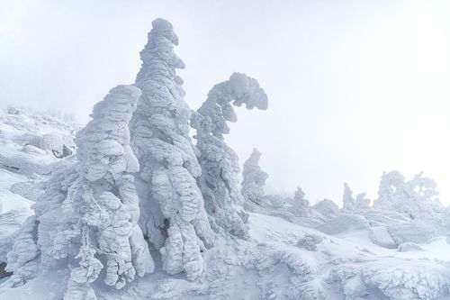 Жители Уральских гор