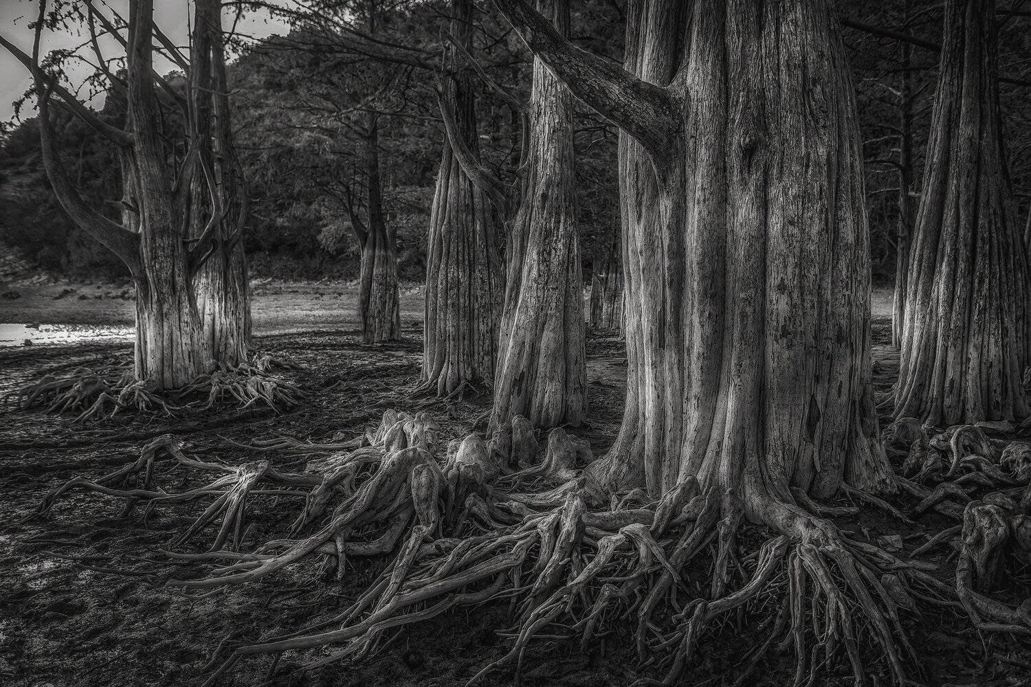 , Павел Сагайдак