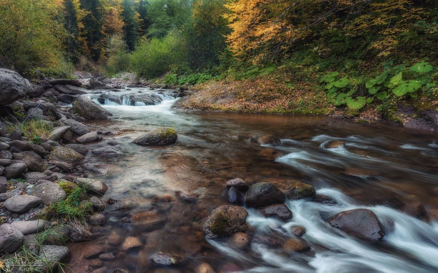 , Александр Круль