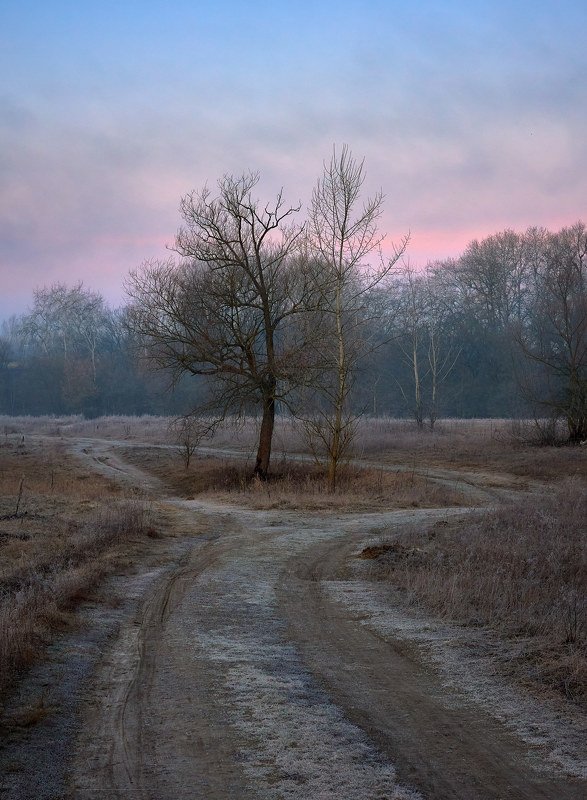 Married couple... фото превью