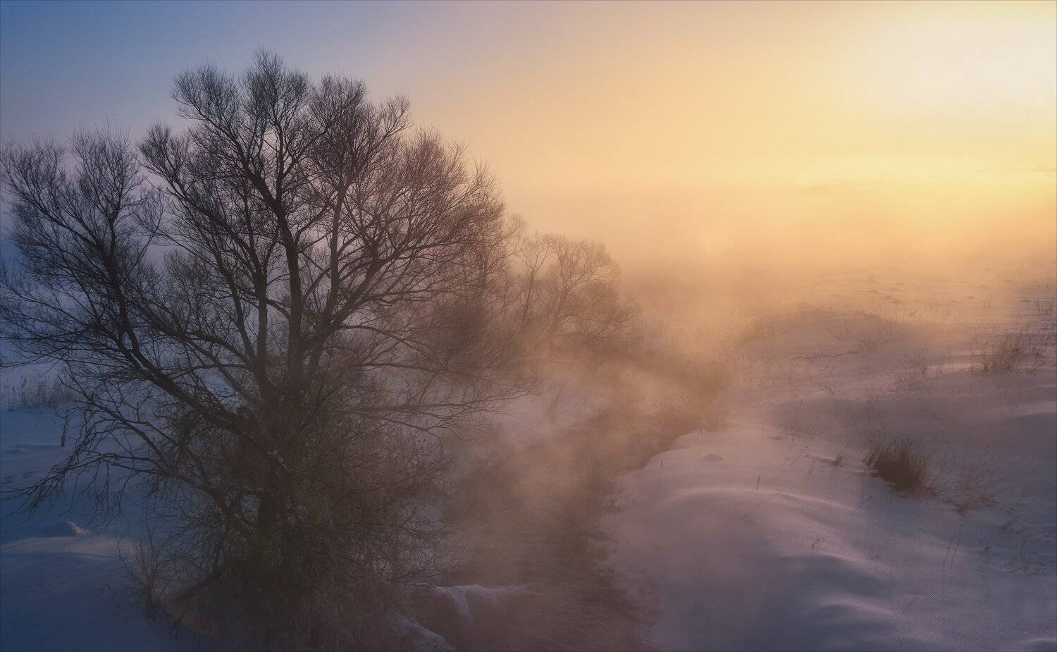 , Алексей Богорянов