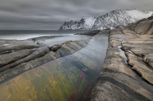 Tungeneset