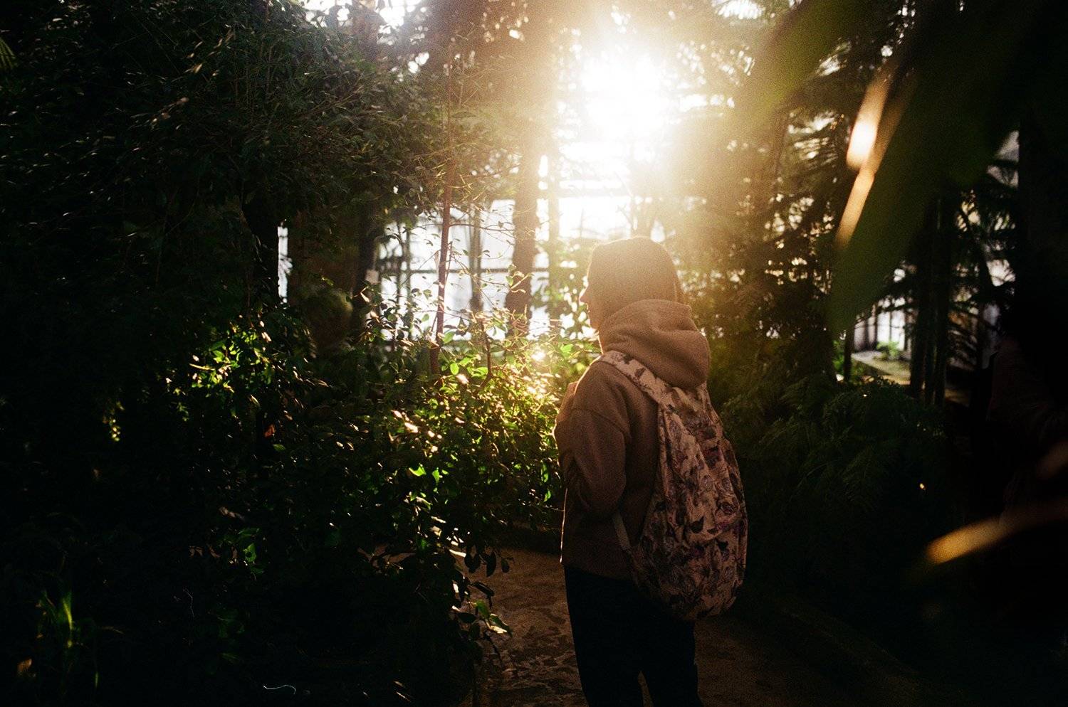 пленка, kodak gold 200,, Kirill