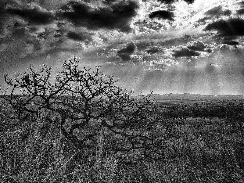 The Valley фото превью