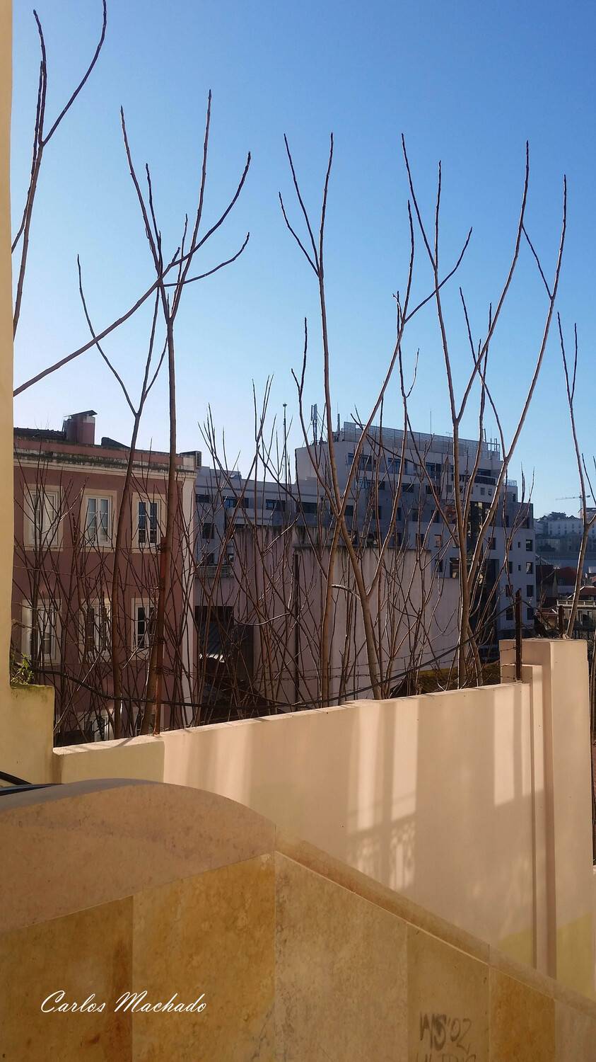 Street/Reportage, City/Architecture, Carlos Machado