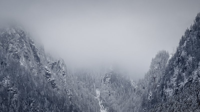 dream,landscape,alexandrucrisan,nature,scenery,countryside,far,away,romania,dreamland,magic,sound,lonely,mountain,myromania,forest,trees,winds,hill,tree,white,poem,haiku,minimalism,minimal,winterscape,cold,freeze,breeze,16,panoramic,wintertale,for,mist,dr Wuthering heights фото превью