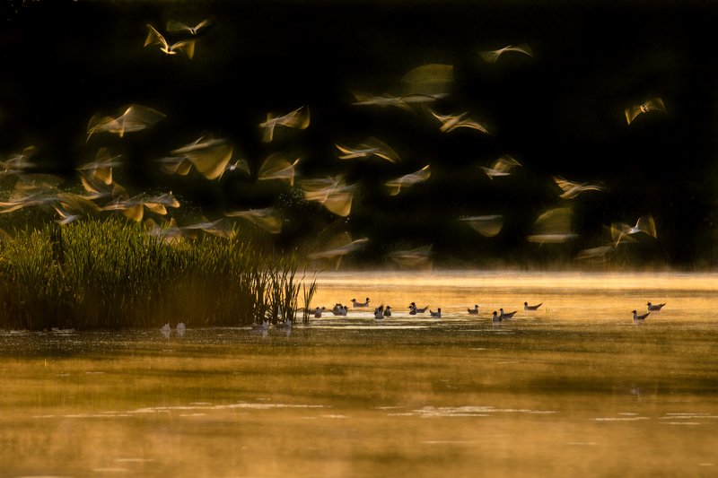 I go around Warmia фото превью