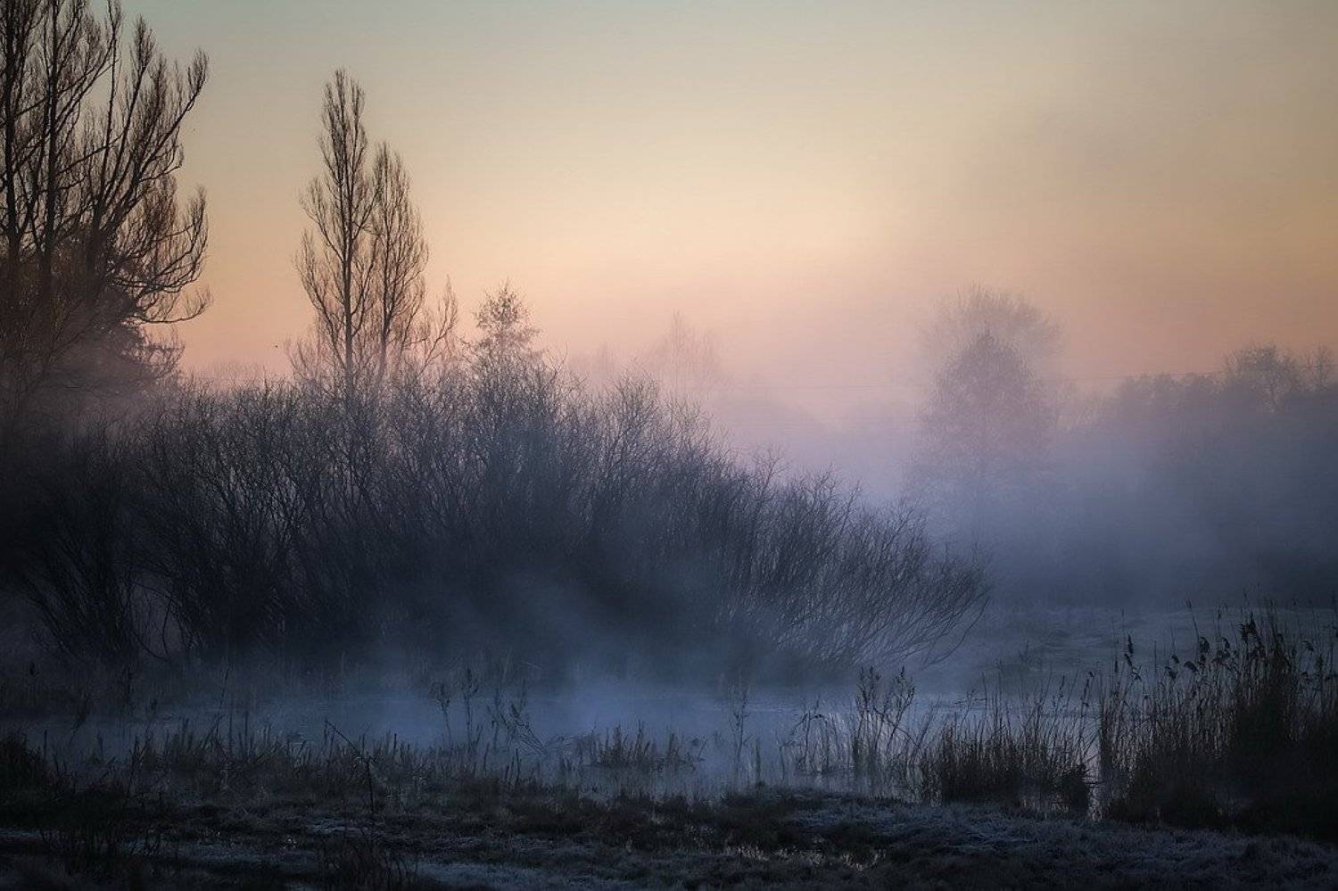 , Вячеслав Мищенко