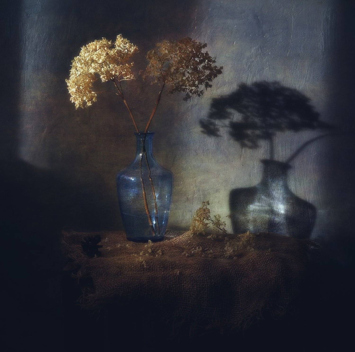 натюрморт,still_life,тень,гортензия,  Наталия К