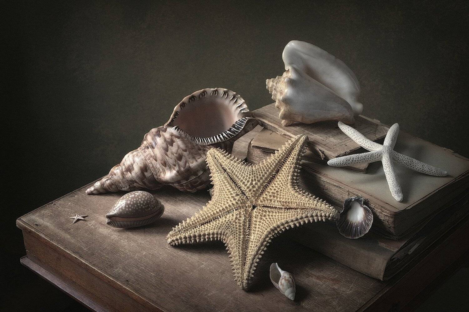 сергей алексеев, натюрморт, Сергей Алексеев